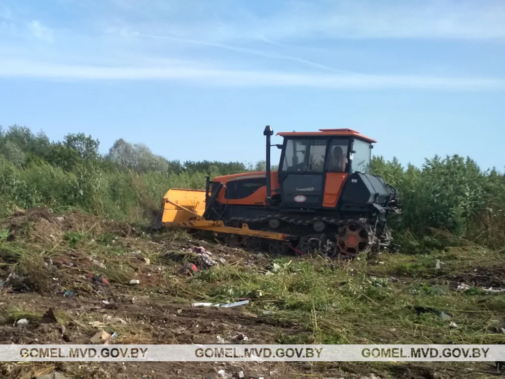 В Лоевском районе уничтожили полгектара конопли
